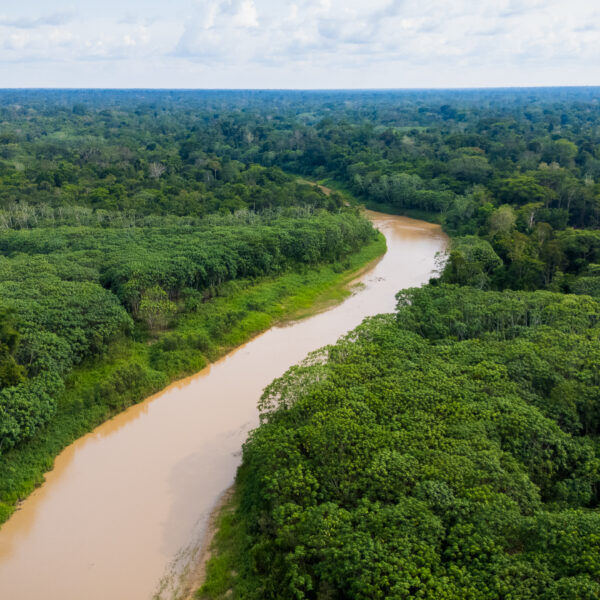 Governo do Acre cria sistema integrado para fortalecer política ambiental&hellip;