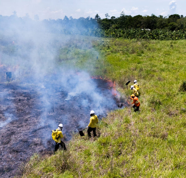 Acre institui Serviço Ambiental Voluntário de Brigadista Florestal para fortalecer&hellip;