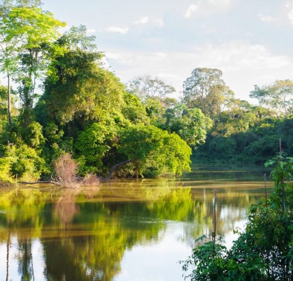 Programa de Resiliência Socioambiental integra conservação, segurança hídrica e desenvolvimento&hellip;