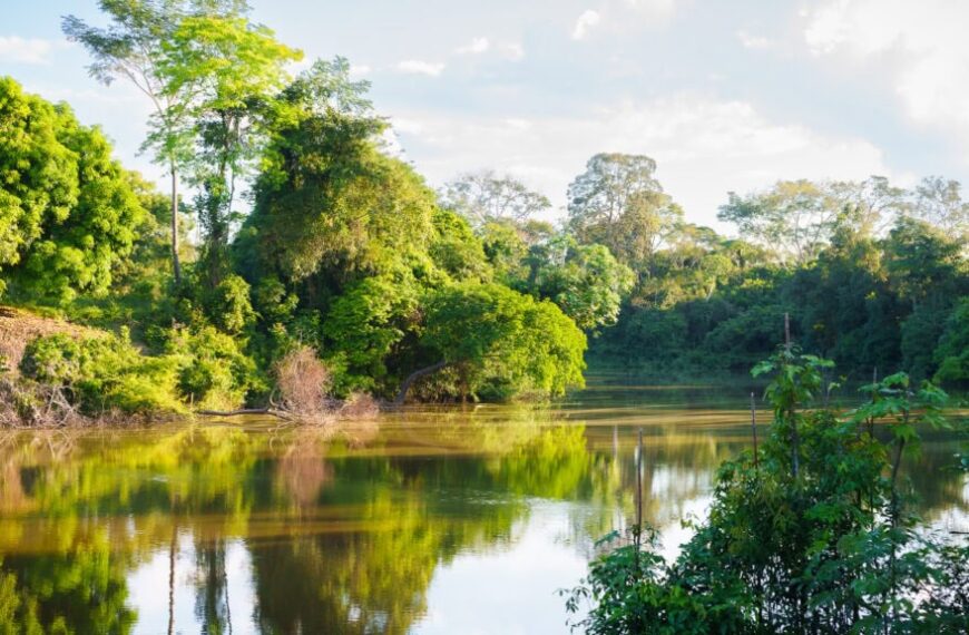 Programa de Resiliência Socioambiental integra conservação, segurança hídrica e desenvolvimento&hellip;