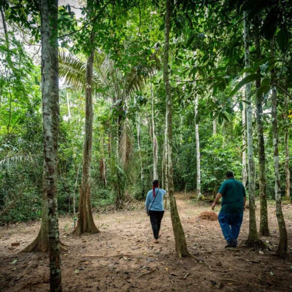 Área de Proteção Ambiental Igarapé São Francisco é estratégica para&hellip;