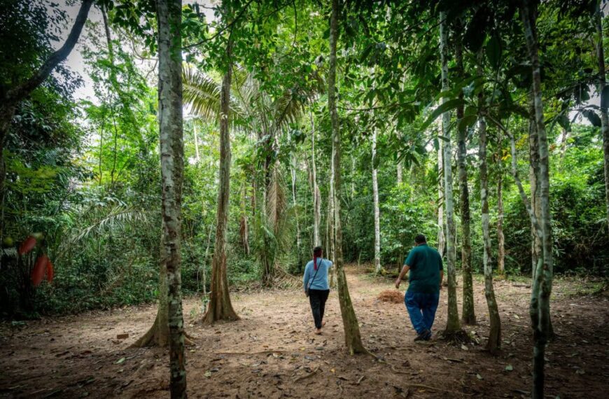 Área de Proteção Ambiental Igarapé São Francisco é estratégica para&hellip;
