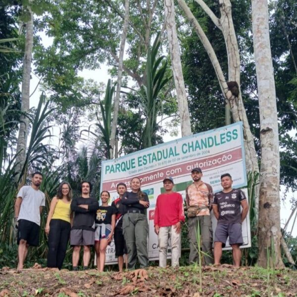 Pesquisa revela 4 novas espécies de formigas no Parque Estadual&hellip;
