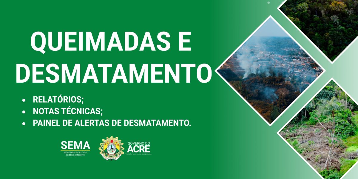 Queimadas-e-Desmatamento-1