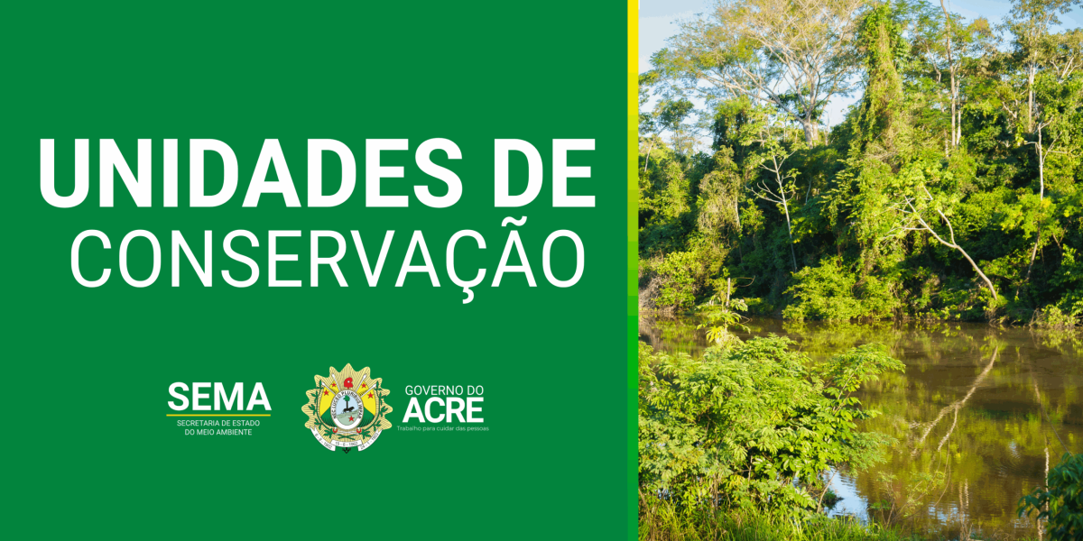 queimadas e DESMATAMENTO